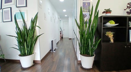 Corredor elegante do Rô Advanced com plantas e decoração, localizado em Amadora-Reboleira, Lisboa, PT.