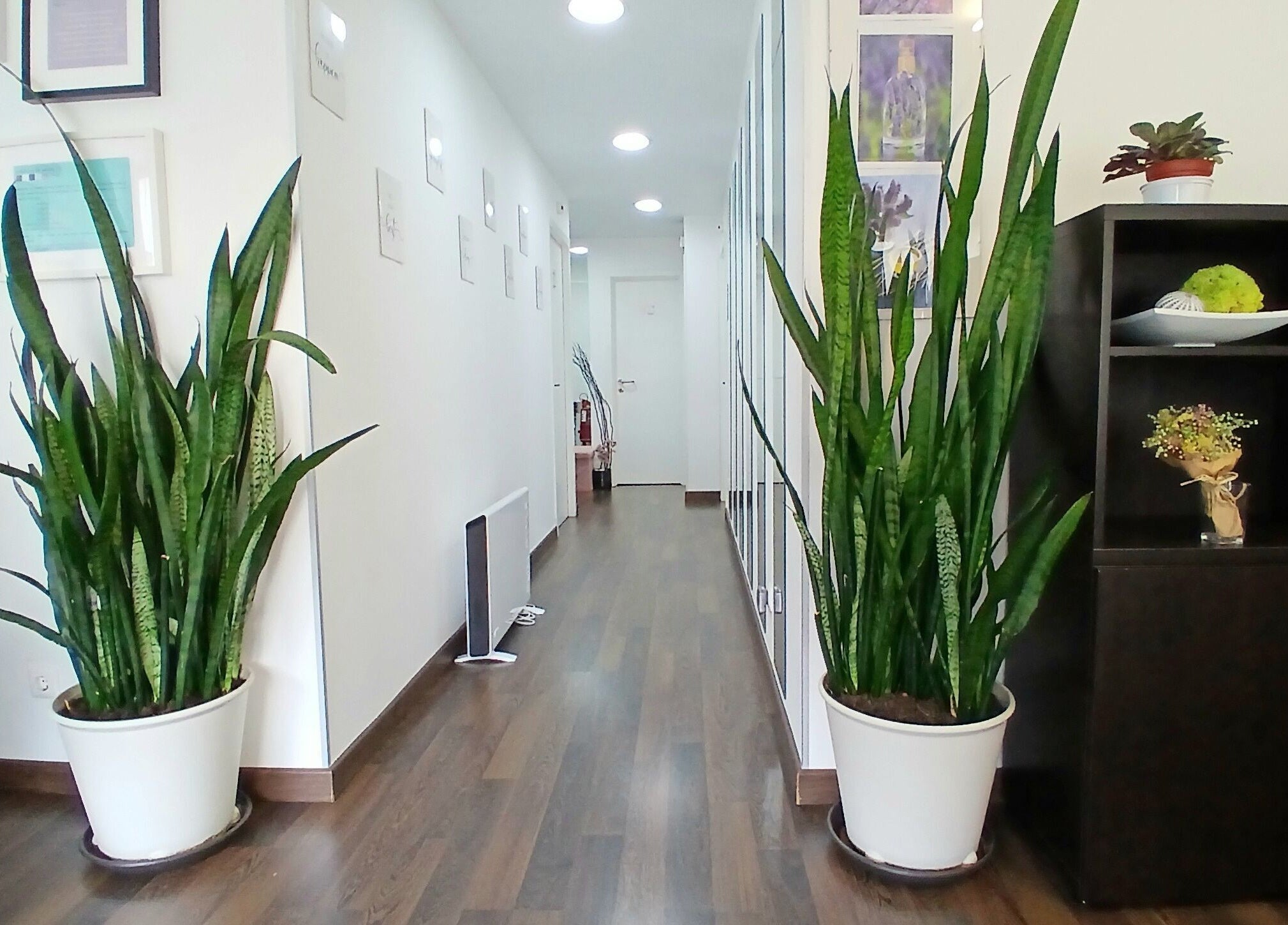 Corredor moderno do Rô Advanced em Amadora-Reboleira, Lisboa, PT, com plantas decorativas.