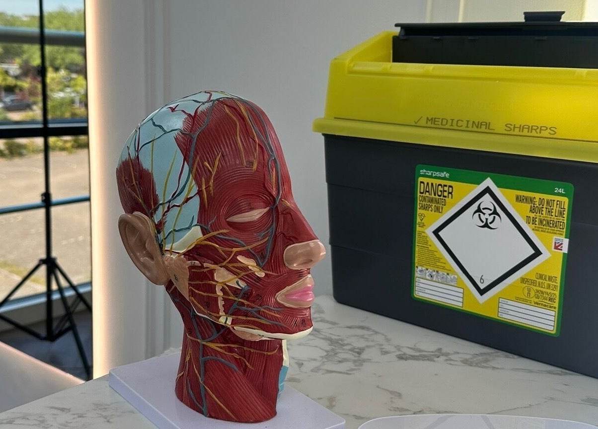 Anatomical head model for aesthetic education at Georgie’s Aesthetics Milton Keynes, Milton Keynes, England, GB.