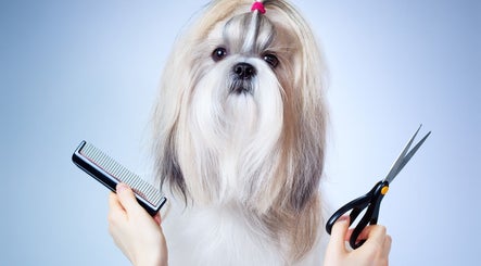 Nine Tails Pet Grooming image 2