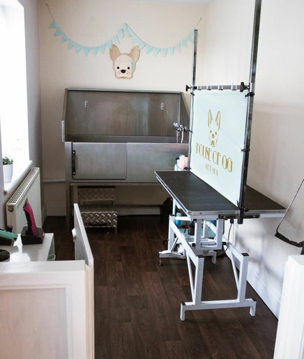 House of GG Pet Spa image 2