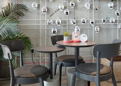 Stylish seating area at Not a Space in Sharjah, AE with modern decor and greenery.