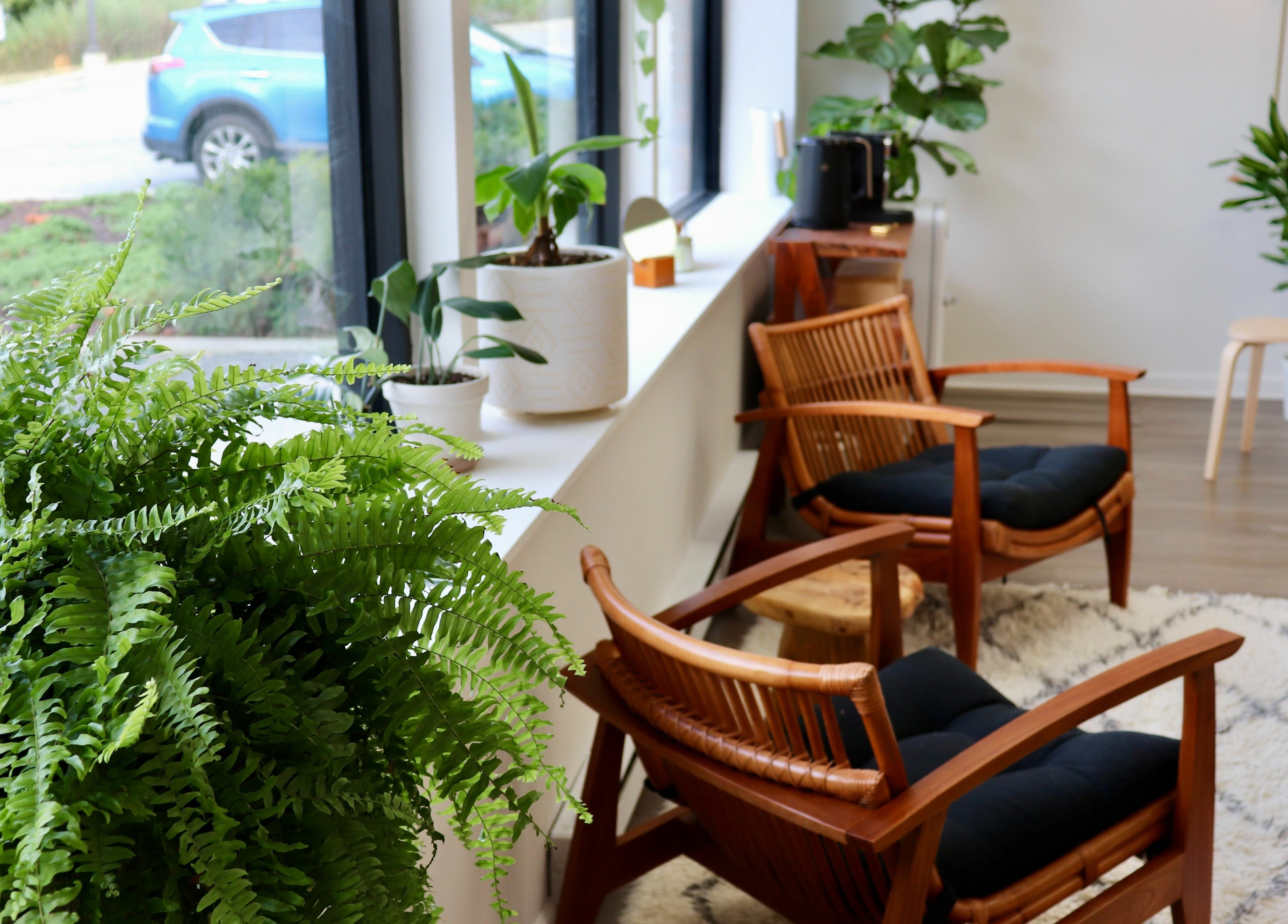 Cozy seating area with lush plants at Roots Radicals North in Brewster, New York, US.