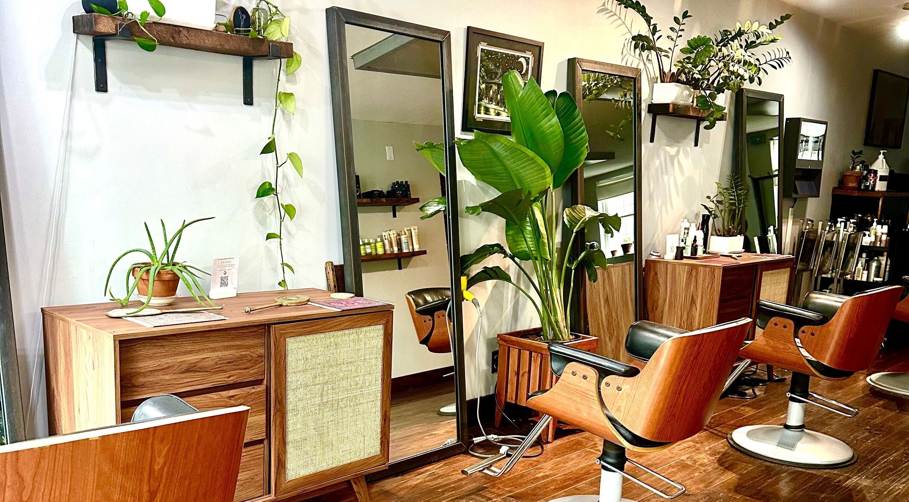 Stylish interior of Roots Radicals Salon in New York, New York, US featuring wood decor and lush green plants.
