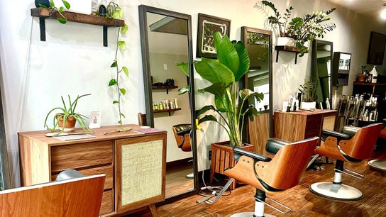 Roots Radicals Salon