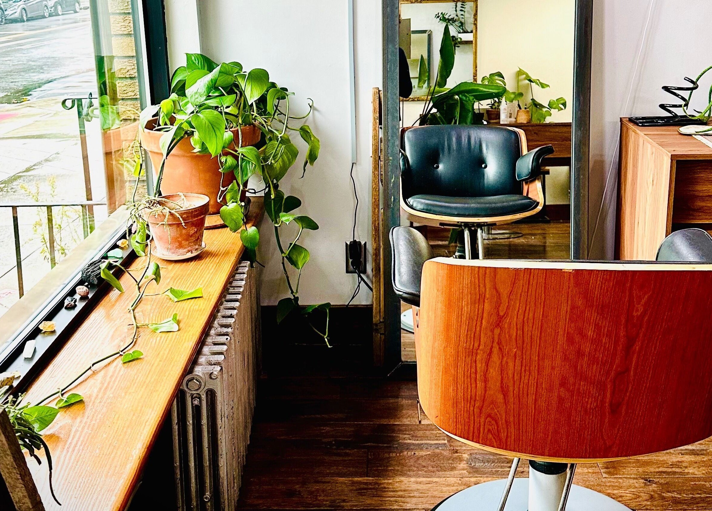 Elegant styling area at Roots Radicals Salon with plants in New York, New York, US.