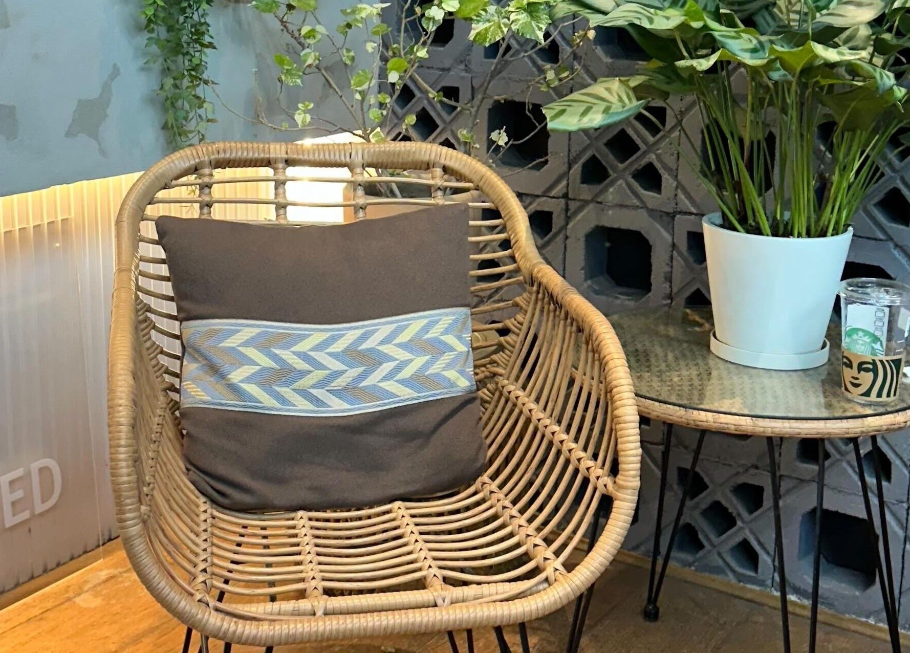 Relaxing seating area with plants at Culture Salon MNL, Taguig, Metro Manila, PH.