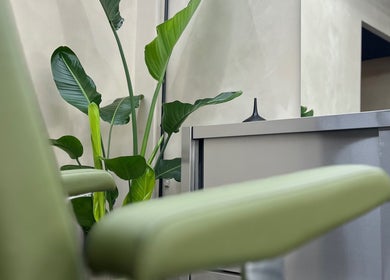 Moderne groene stoel en plant bij Daily Served, Spijkenisse, Zuid-holland, NL.