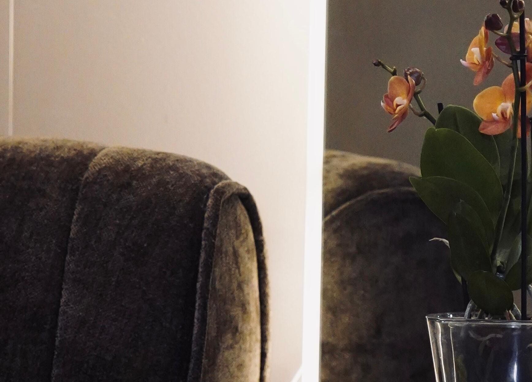 Een comfortabele stoel met een elegante orchidee bij Daily Served, Spijkenisse, Zuid-holland, NL.