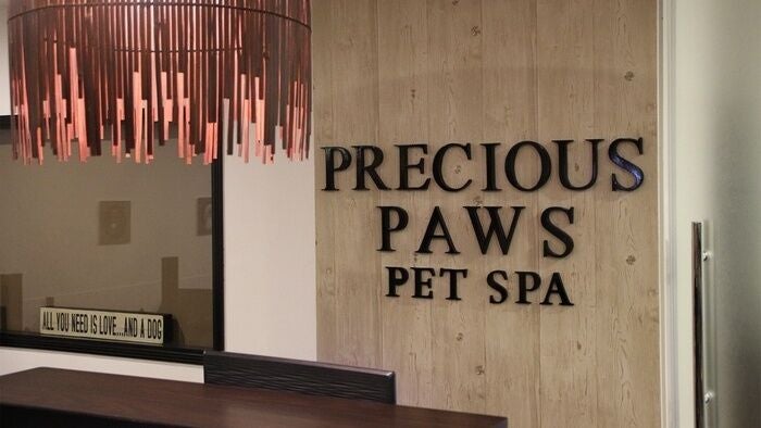 Precious Paws Pet Spa Oud Metha 1 6a Street Oud Metha 25 236922 55 308227 Dubai Fresha