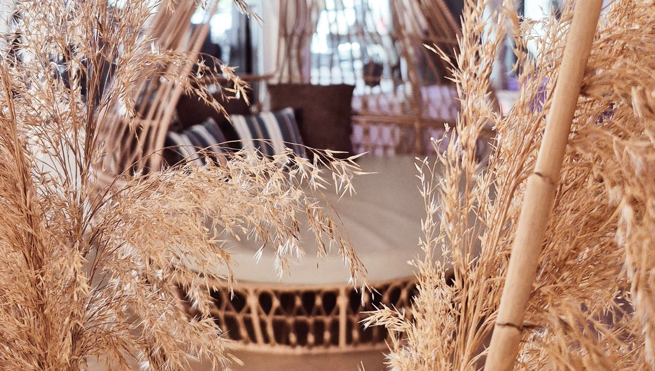 Natural decor at Blue Spa, Nausicaa Beach Hotel, Protaras, Ammochostos, CY, offering a tranquil retreat.