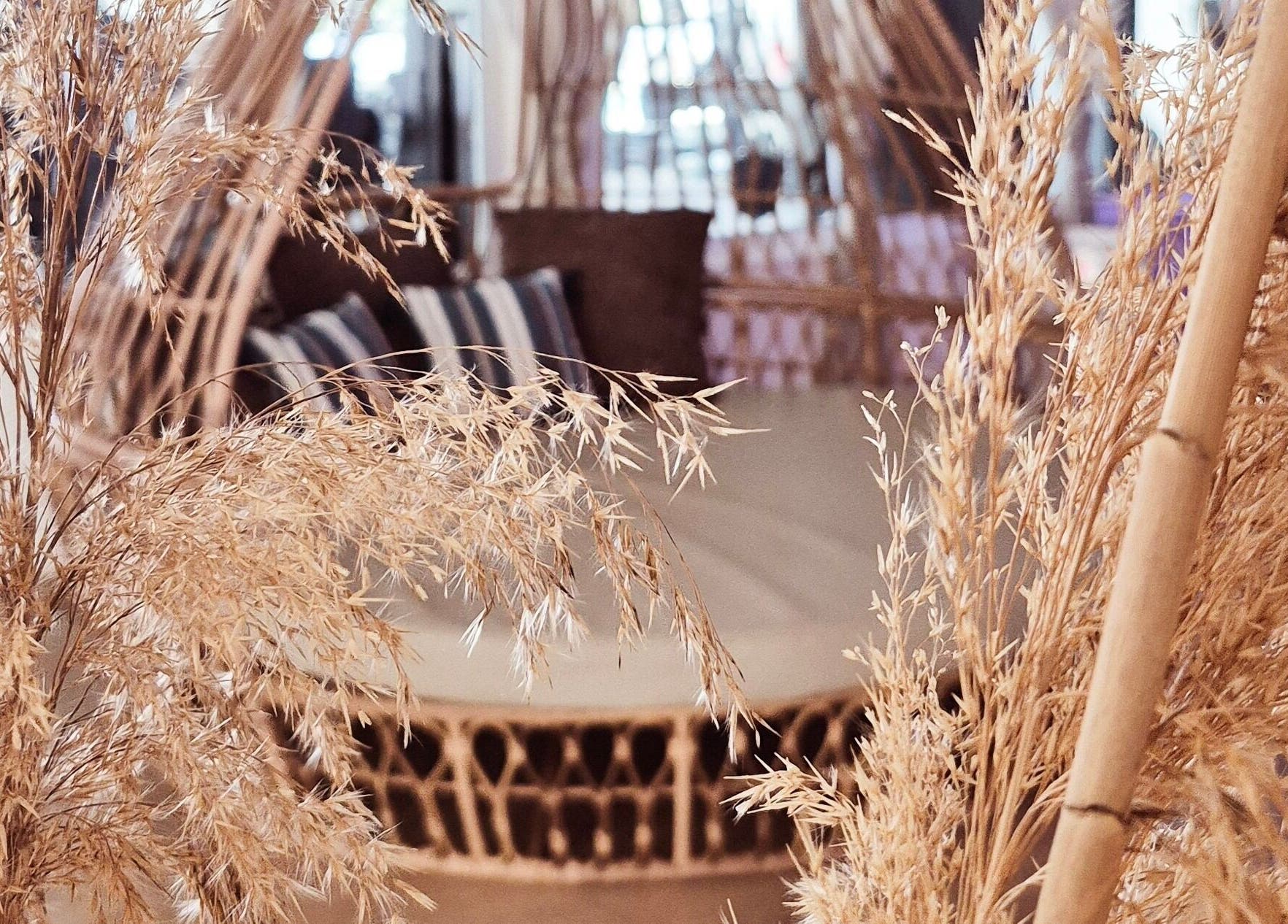 Natural decor at Blue Spa, Nausicaa Beach Hotel, Protaras, Ammochostos, CY, offering a tranquil retreat.