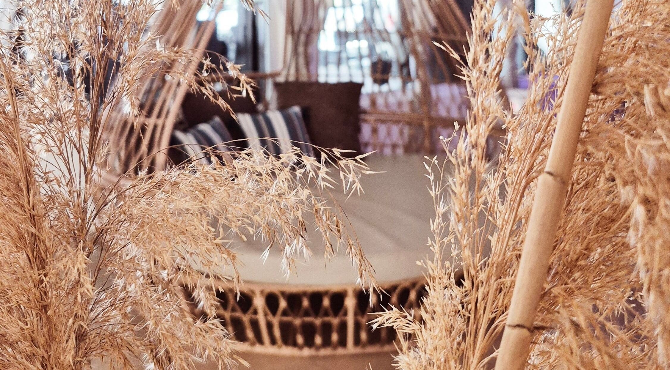 Natural decor at Blue Spa, Nausicaa Beach Hotel, Protaras, Ammochostos, CY, offering a tranquil retreat.