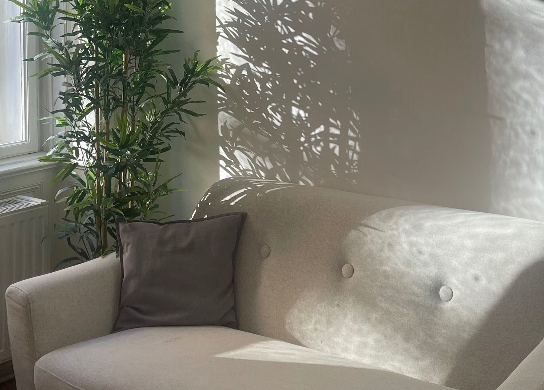 Sunlit sofa and plant at Koliya Nails, Wien, Wien, AT. A peaceful, inviting waiting area.