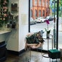 Nichë Salon på Fresha – 13 New Street, Paisley, Scotland