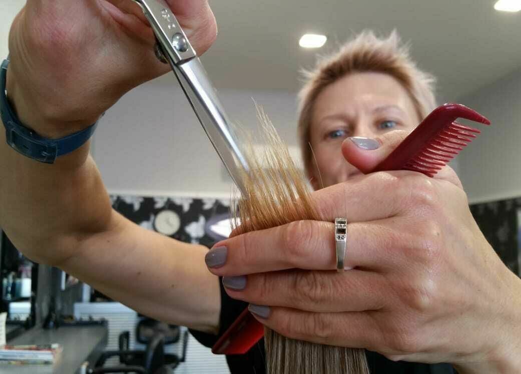 A professional stylist at Chris and Co Hair Design in Pukekohe, Auckland, NZ trims blonde hair with shears.