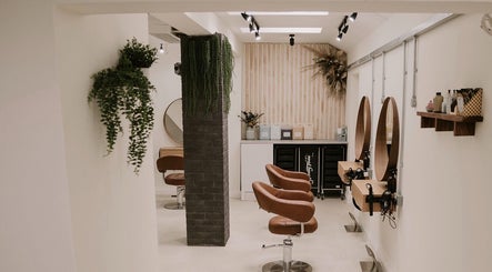 Fir Salon – kuva 2