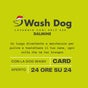 Lavaggio Cani Self 24h and Toelettatura Professionale a Bergamo – Dalmine | Wash Dog su Fresha - Via Provinciale, 33a, Dalmine, Lombardia