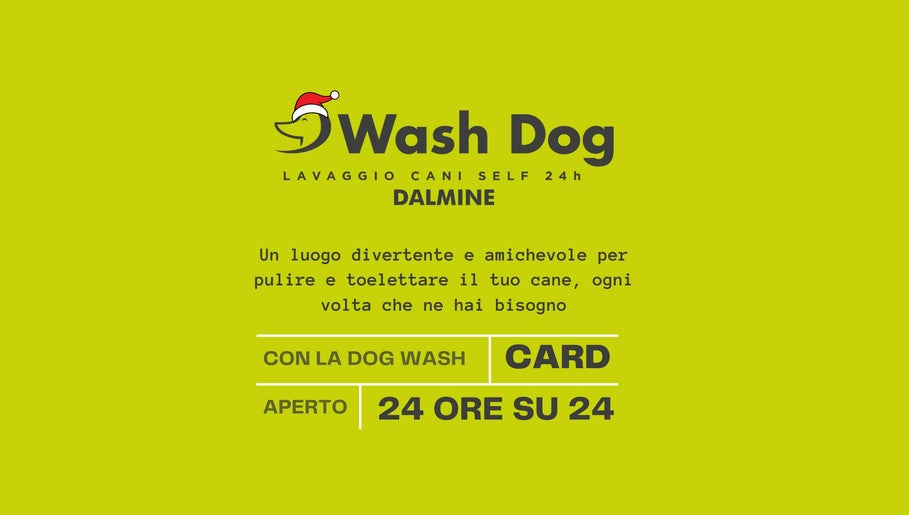 Immagine 1, Lavaggio Cani Self 24h and Toelettatura Professionale a Bergamo – Dalmine | Wash Dog