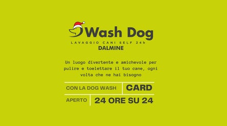 Lavaggio Cani Self 24h and Toelettatura Professionale a Bergamo – Dalmine | Wash Dog