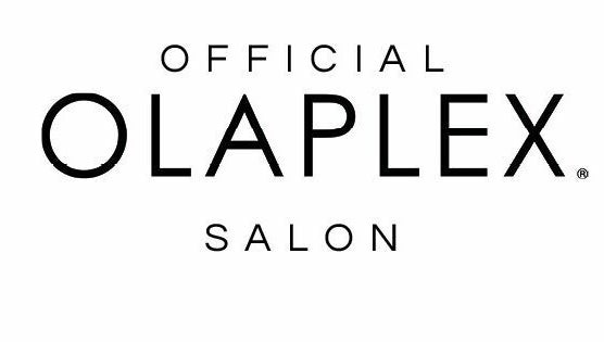 Sarahs Hair Lounge image 1