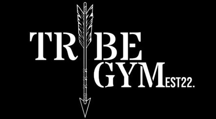Tribe Gym