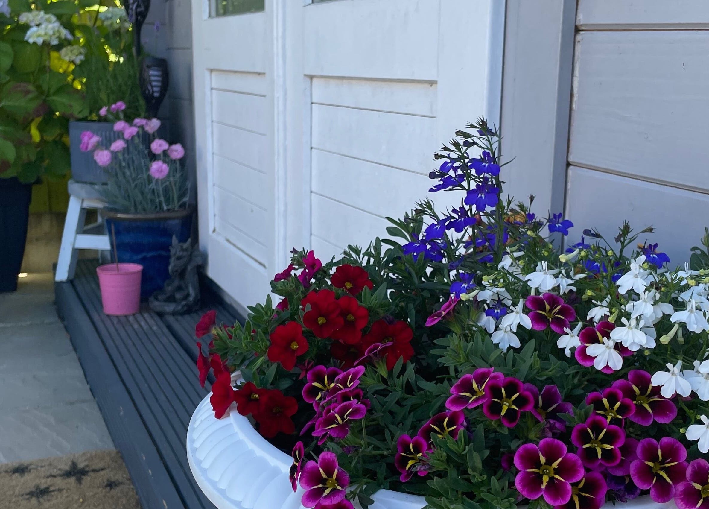 Vibrant flowers on the porch of Twilight Garden Complementary Therapies, Chelmsford, England, GB.