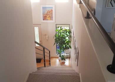 Bright staircase with plants at Contour Studio Perth, Yokine, Western Australia, AU.