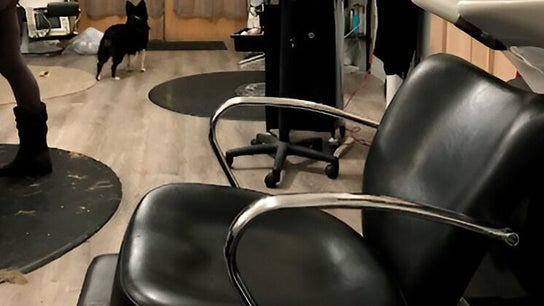 New Moon Salon