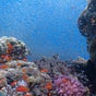 Ahla Dive Shop - 14 Mish'ol Shaked, Eilat, South District