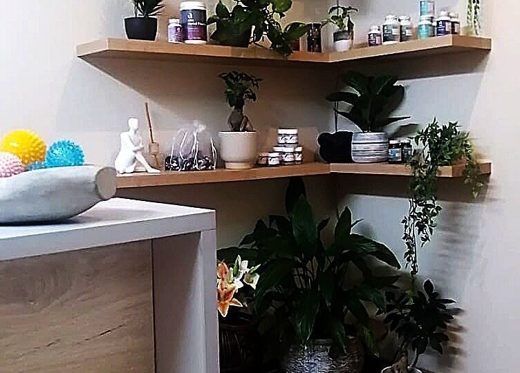 Stylish shelf display with plants at Kahe Hands Wierdapark, Centurion, Gauteng, ZA, promoting a calming ambiance.