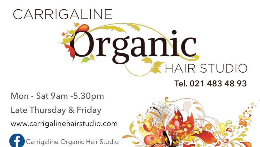 Carrigaline Organic Hair Studio imaginea 1