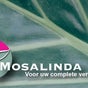 Mosalinda