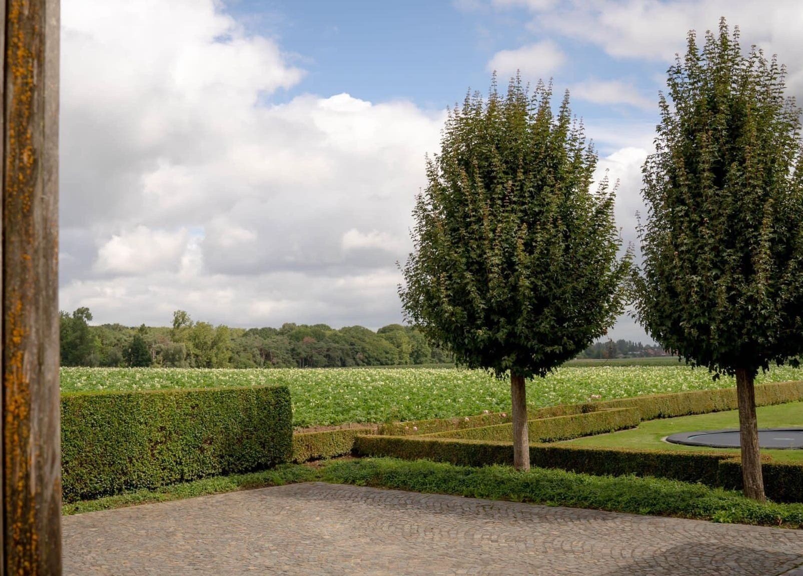 Rustige tuin bij CuraGlow, Wevelgem, Vlaanderen, BE. Groene bomen en hagen tegen een bewolkte hemel.