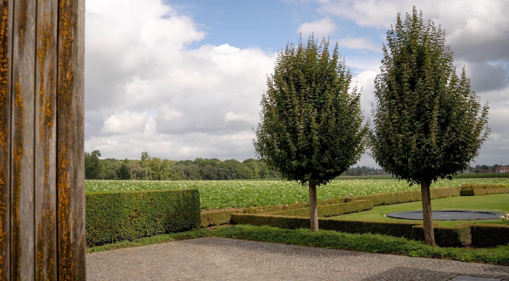 Rustieke tuin bij CuraGlow in Kortrijk, Vlaanderen, BE met verzorgde bomen en een groene achtergrond.