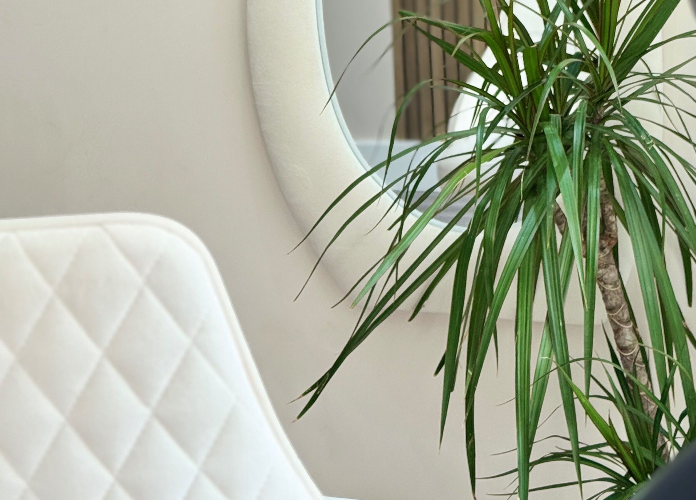 Cozy seating and plant at Leyabelle Esthetic Clinic in Barking, England, GB.