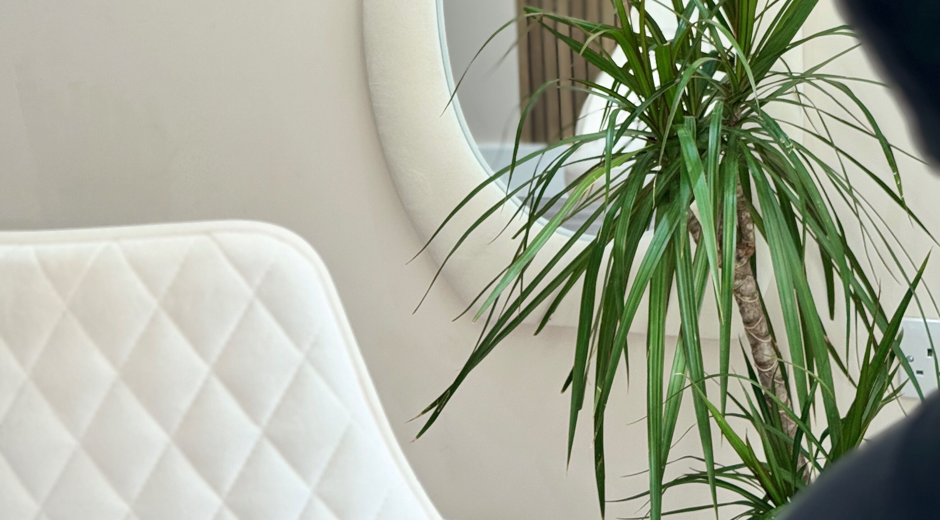 Cozy seating and plant at Leyabelle Esthetic Clinic in Barking, England, GB.