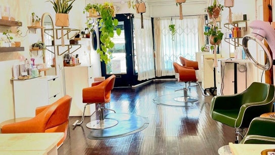 the VERDE SALON