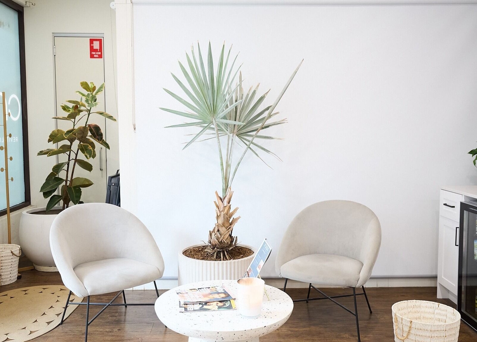 Stylish lounge at Cryospa Clinics, Crows Nest, New South Wales, AU with modern chairs and plants.