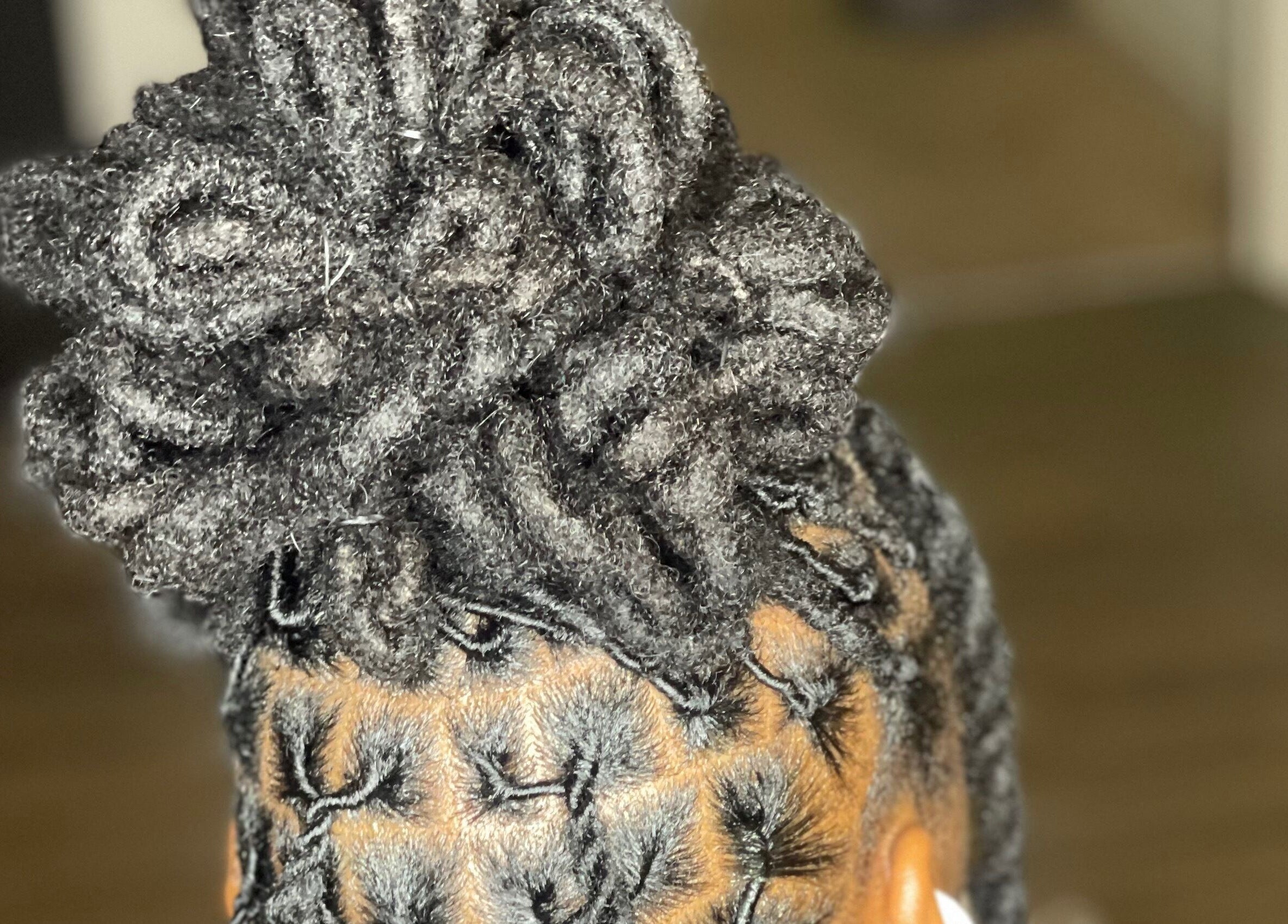 Unique textured updo hairstyle at I Am Natorious, Orange Park, Florida, US, showcasing intricate braiding.