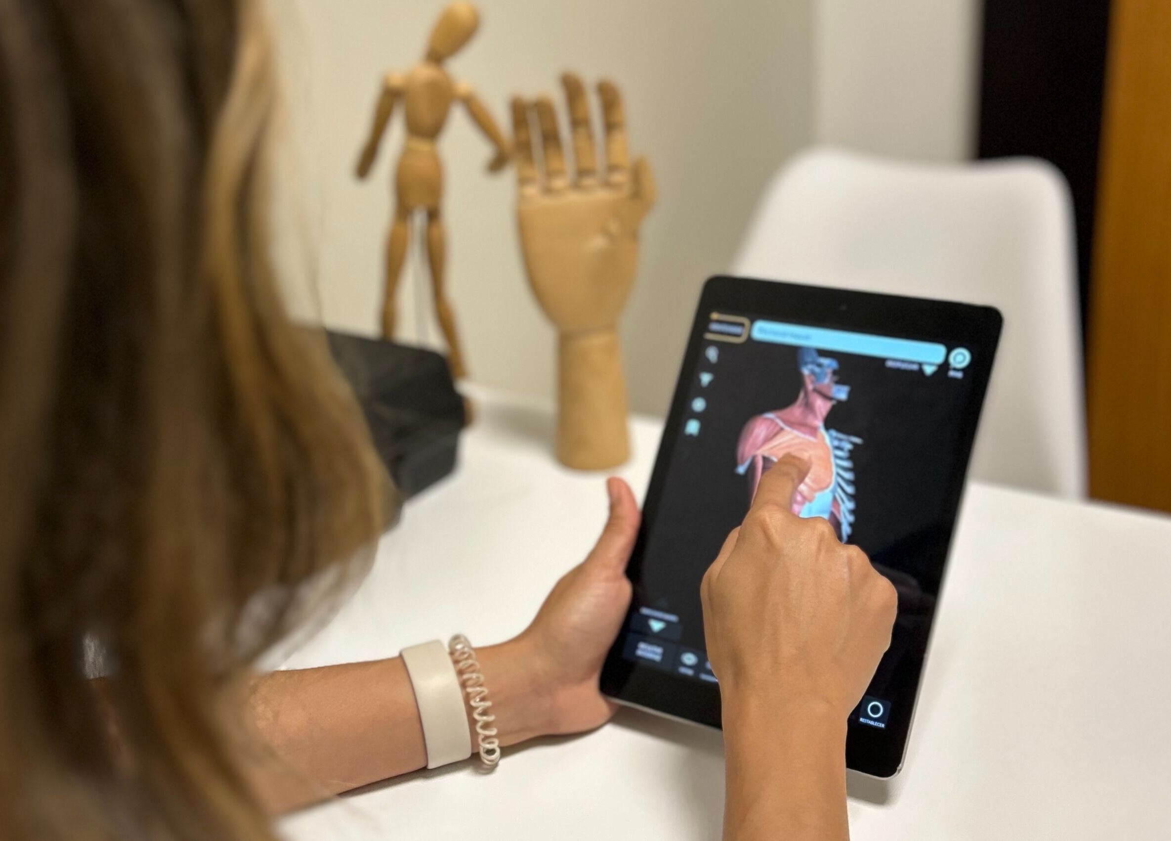 Consulta digital en Fisio Balance, Santiago De Los Caballeros, Santiago, DO, destacando la anatomía humana.