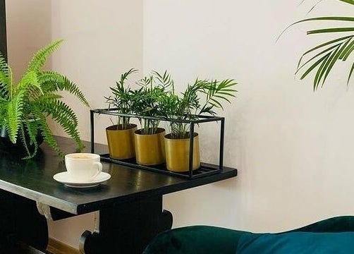 Relaksacyjny kącik z roślinami w Krotoszyńska, Warszawa, Mazowieckie, PL.