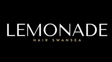 Lemonade Hair Swansea