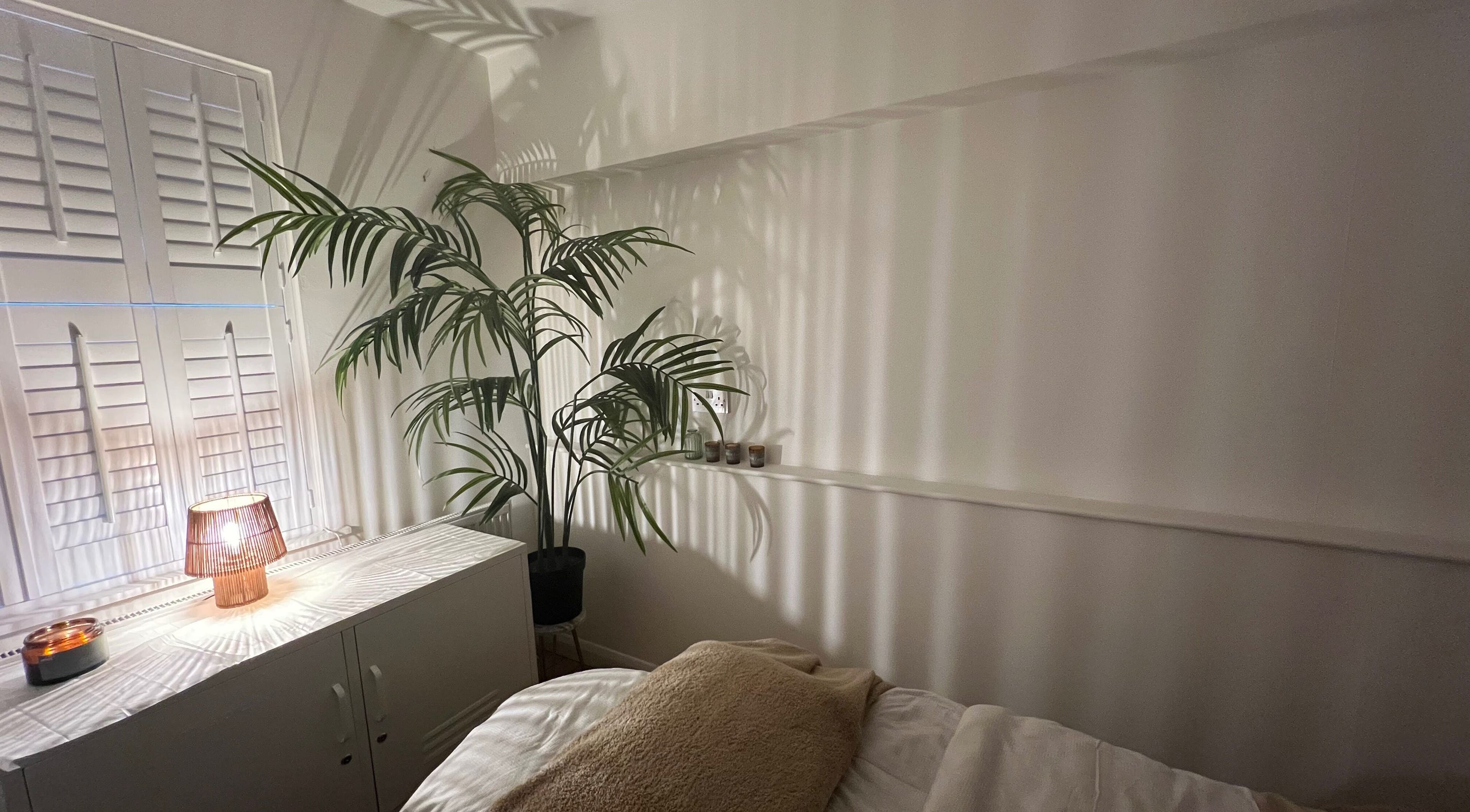 Cozy treatment room at elixir/ in Royal Leamington Spa, England, GB with soft lighting and lush plant.
