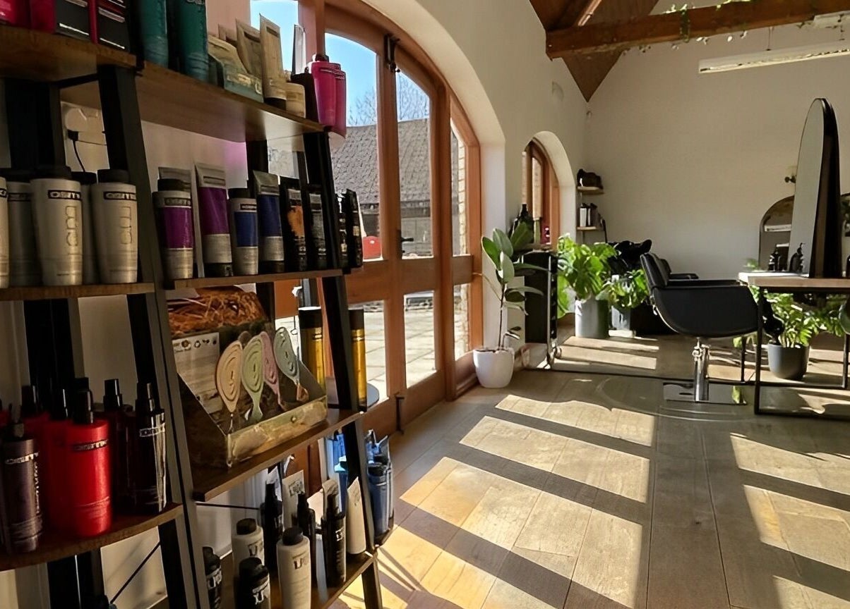Modern salon interior at Bavaro’s Hair Design Ltd, Aldwincle, England, with sunlight and vibrant plants.