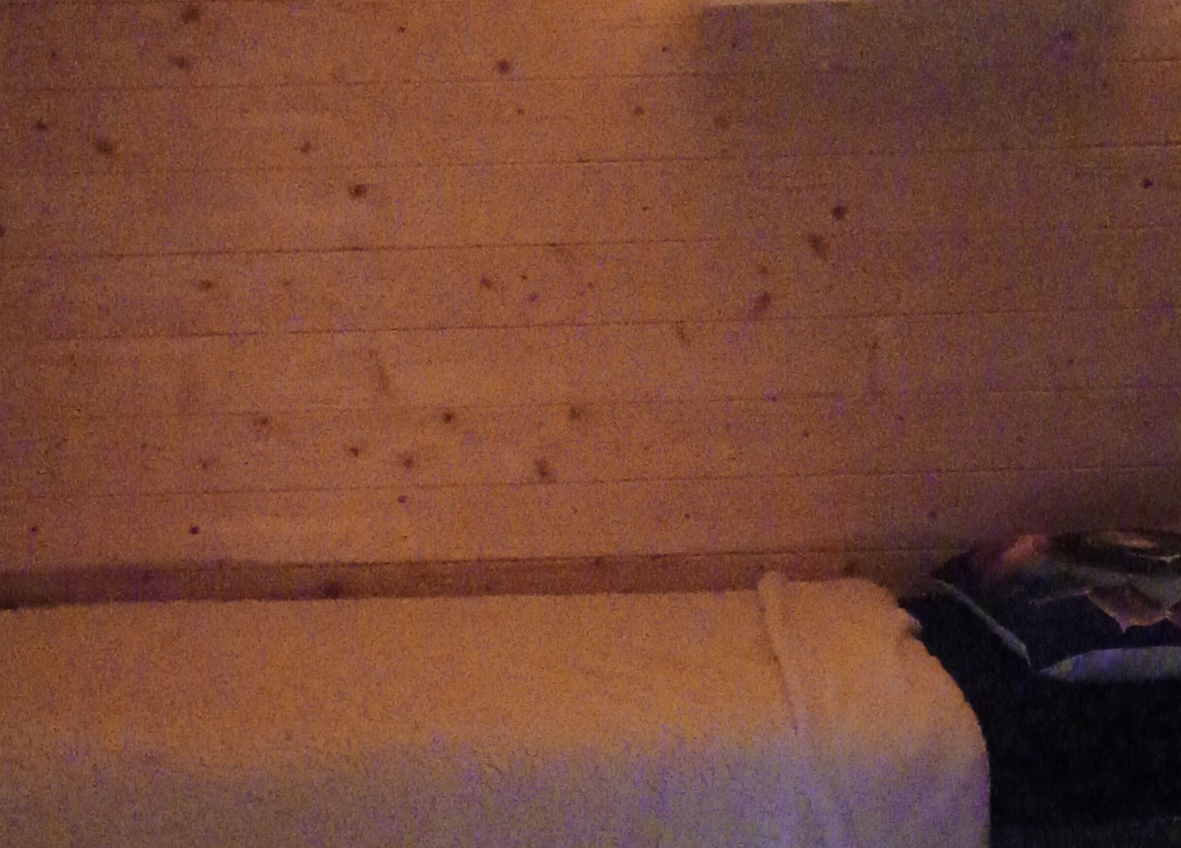 A cozy treatment bed in a serene wooden room at Kent Professional Makeup and Therapies, Ryarsh, England, GB.