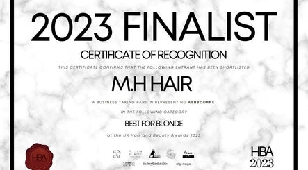 Immagine 3, M.H Hair