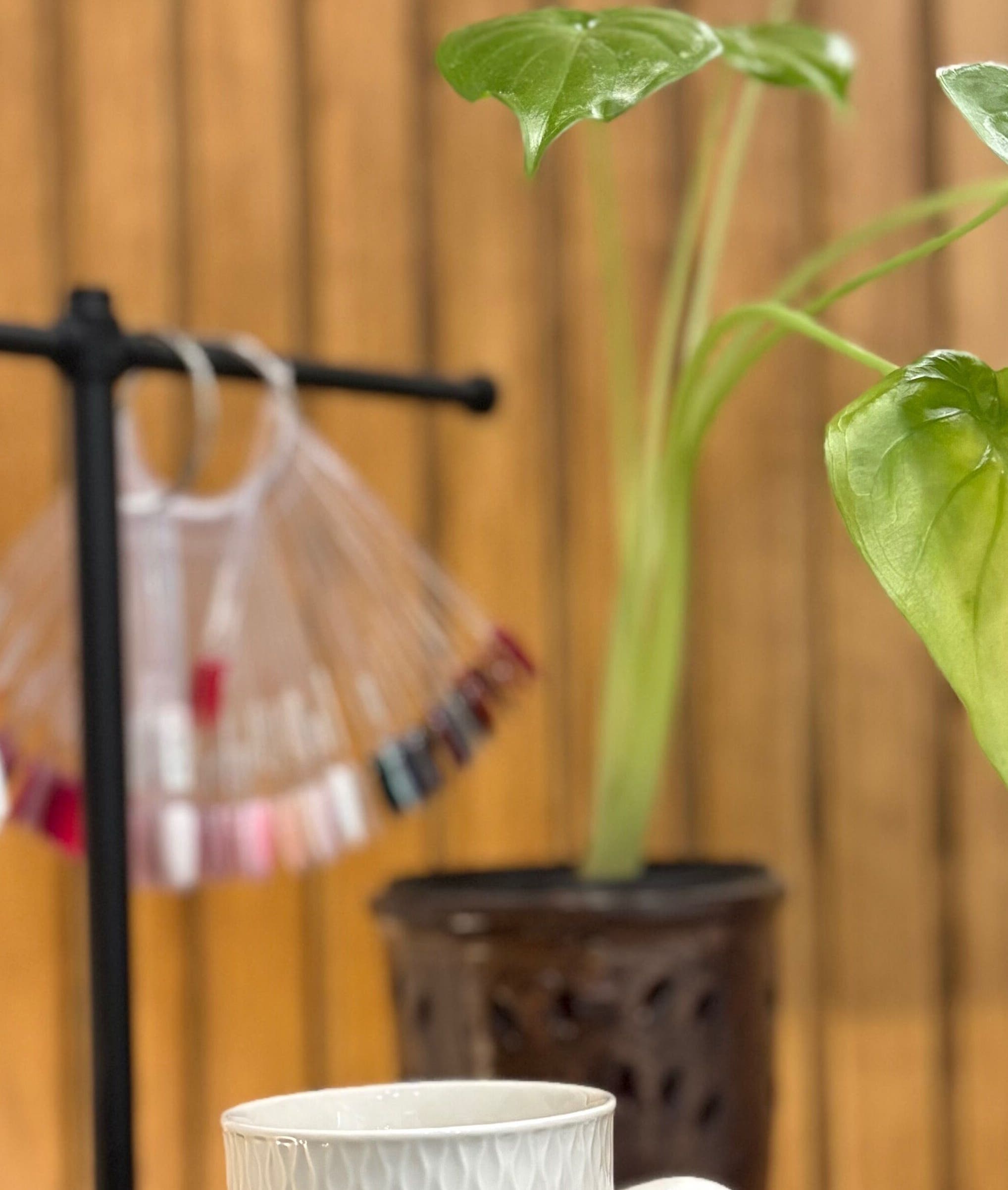 Nail polish display and plant create a relaxing vibe at The Little Spa, Westmoorings, TT.