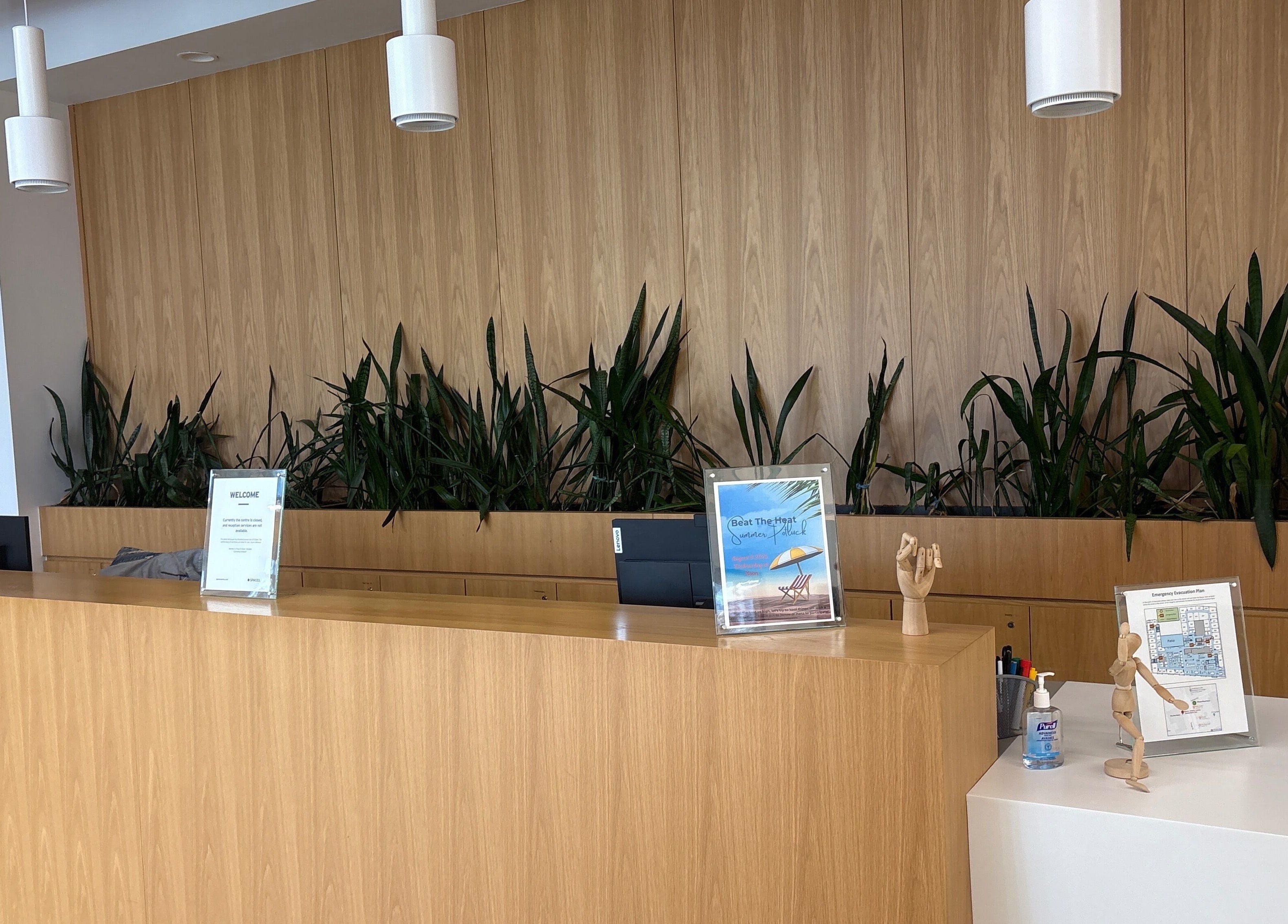Reception area of WayYoung North York, Toronto, Ontario, CA with sleek wood design and greenery.