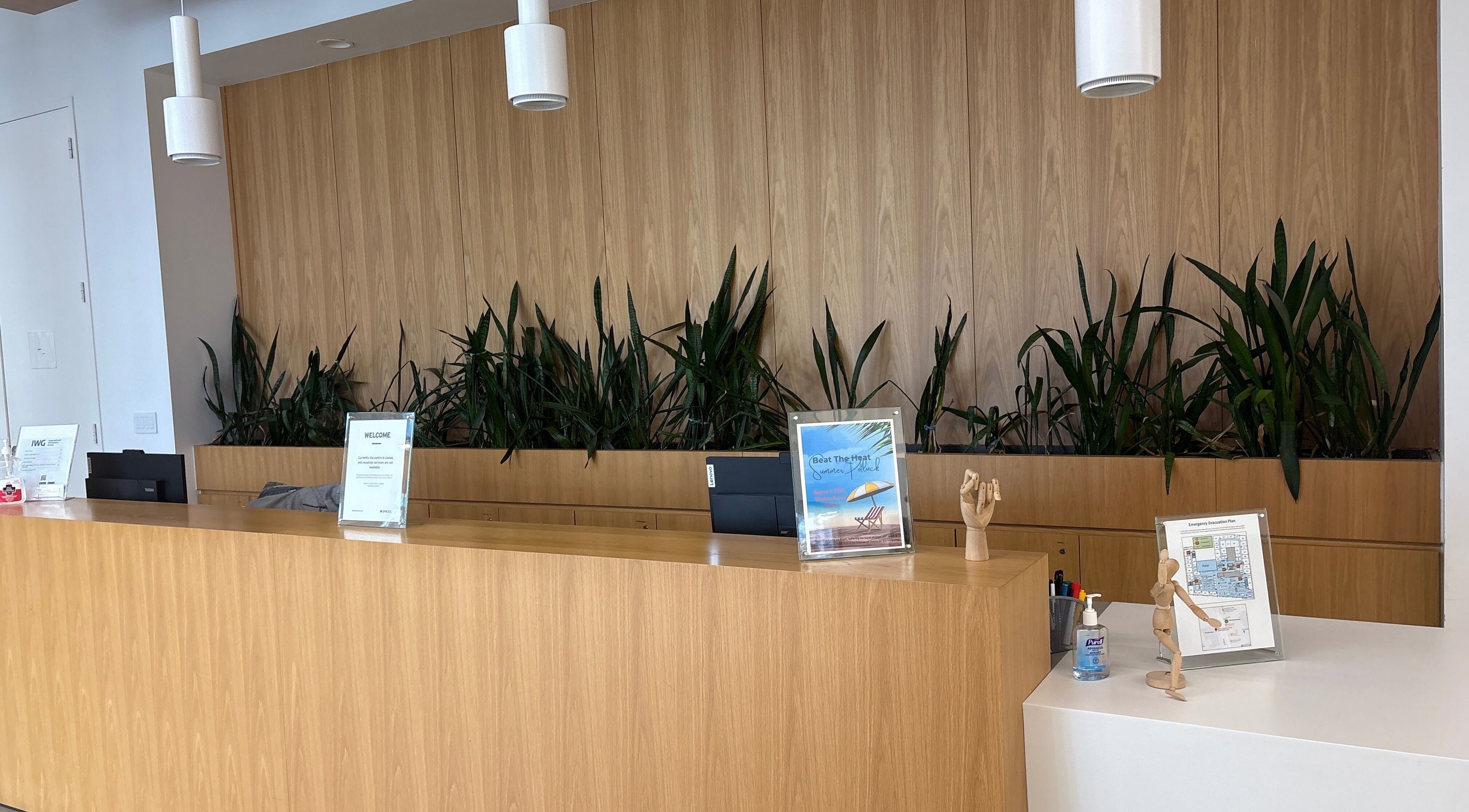 Reception area of WayYoung North York, Toronto, Ontario, CA with sleek wood design and greenery.